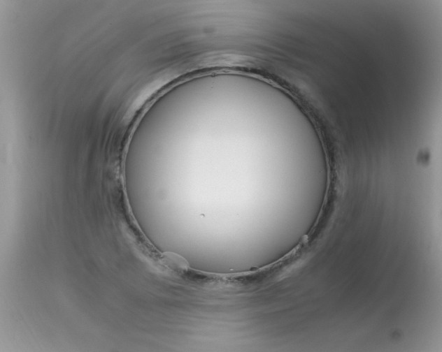 X0000113091073200909182108