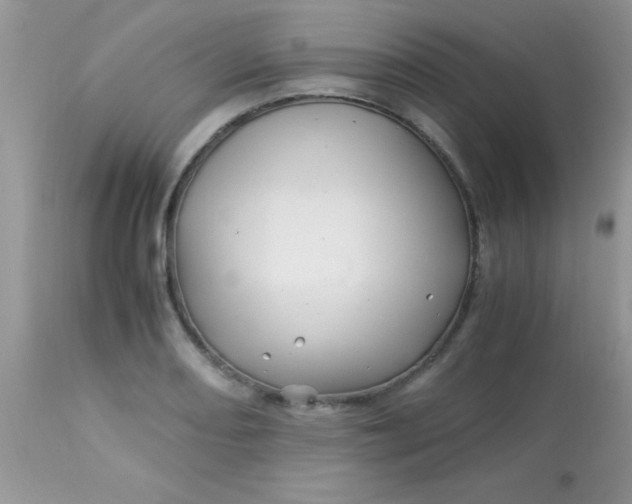 X0000113091082200909182108