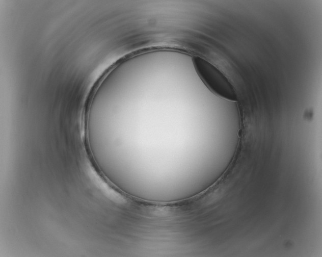 X0000113091084200909182108