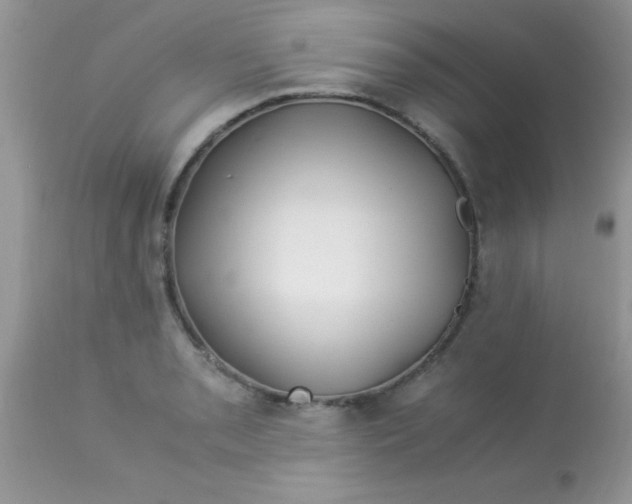 X0000113091085200909182107