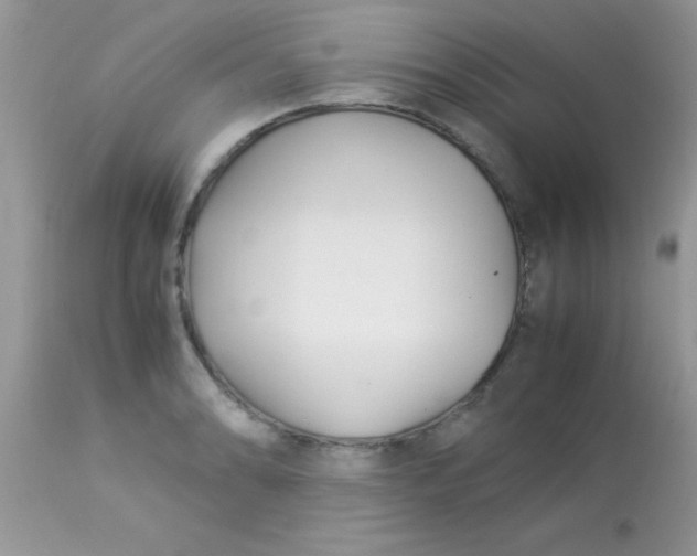 X0000113091086200909182107
