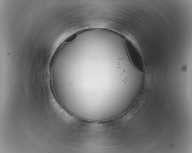 X0000113091088200909182107