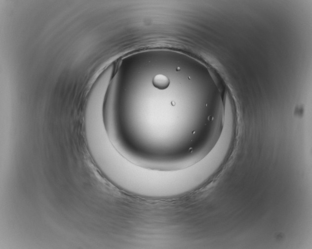 X0000113091089200909182107