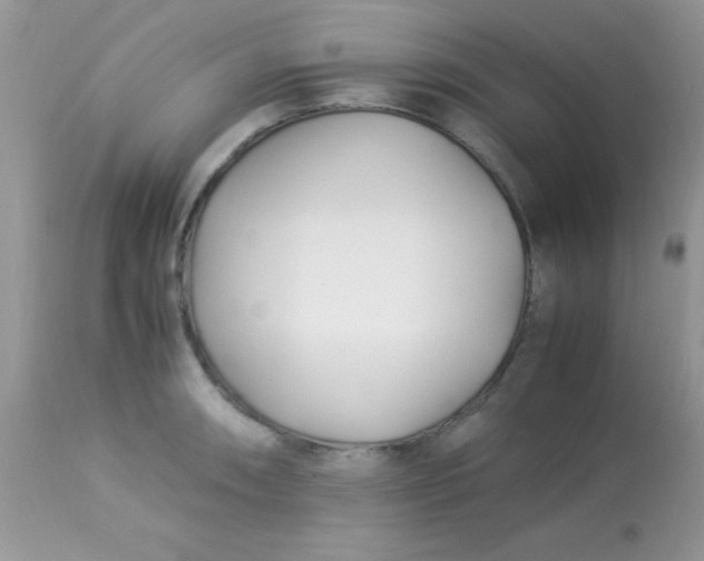 X0000113091090200909182107