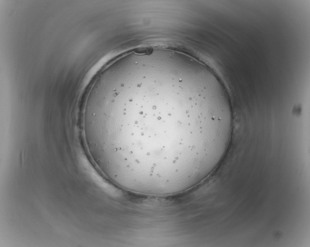 X0000113091091200909182107