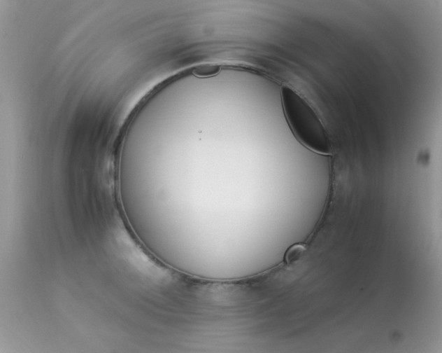 X0000113091092200909182107