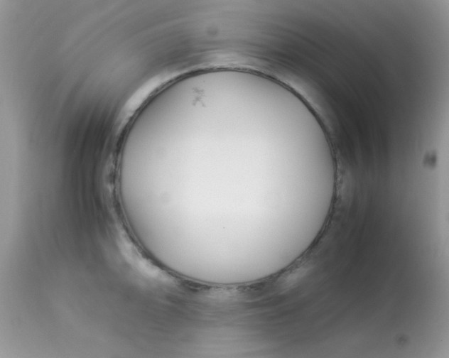 X0000113091094200909182107