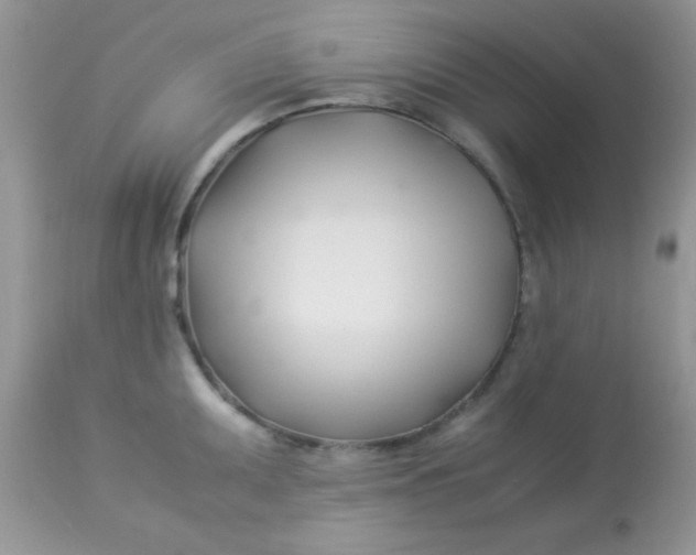 X0000113091095200909182107