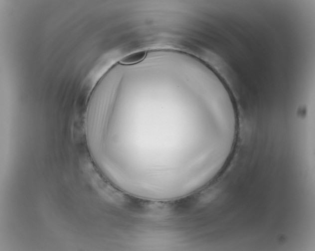 X0000113091097200909182107