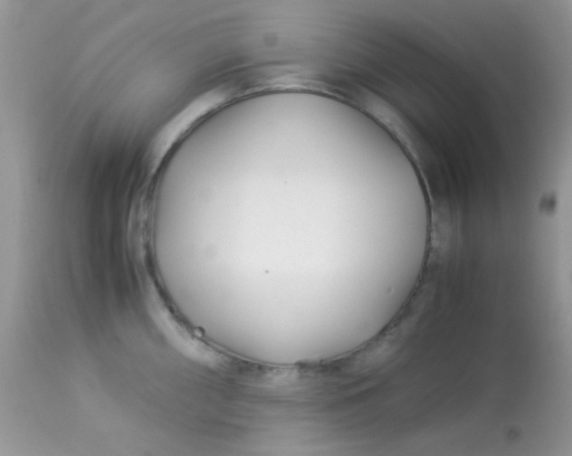 X0000113091098200909182107