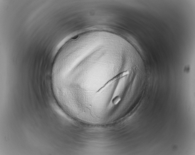 X0000113091100200909182107