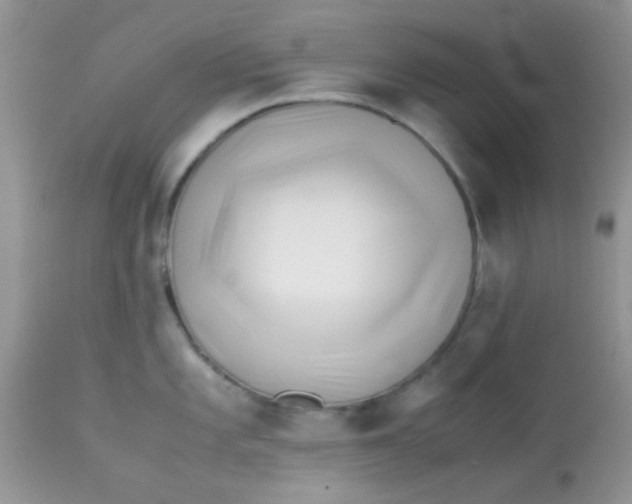 X0000113091101200909182107