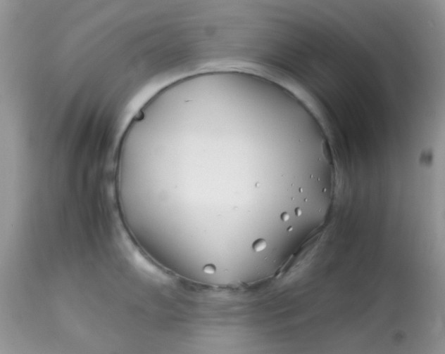 X0000113091102200909182107