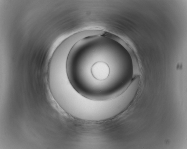 X0000113091104200909182107
