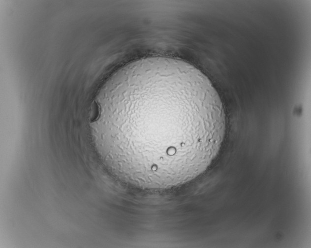 X0000113091105200909182106