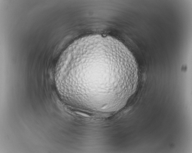 X0000113091106200909182106