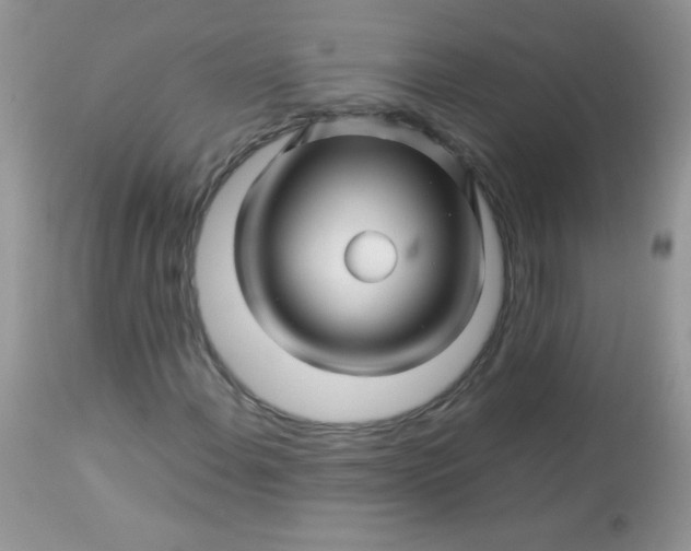 X0000113091108200909182106