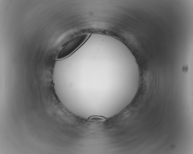 X0000113091110200909182106