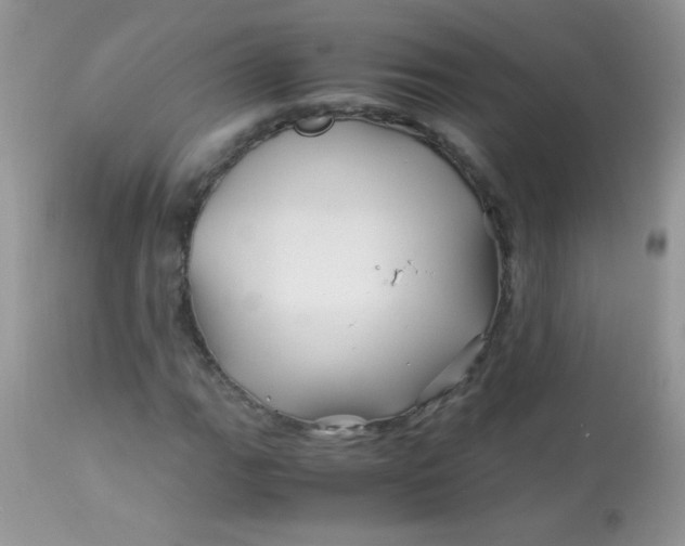 X0000113091111200909182106
