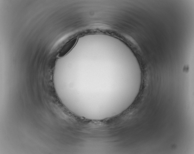 X0000113091112200909182106