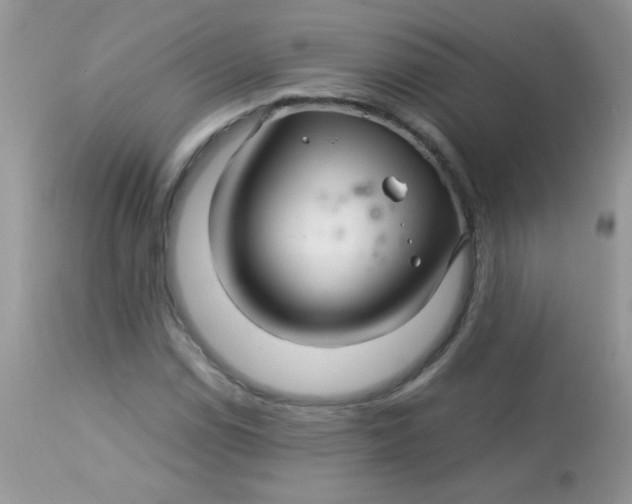 X0000113091114200909182107
