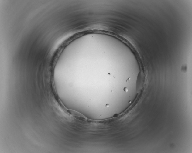 X0000113091115200909182107