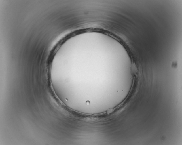 X0000113091118200909182107