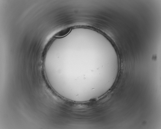 X0000113091119200909182107