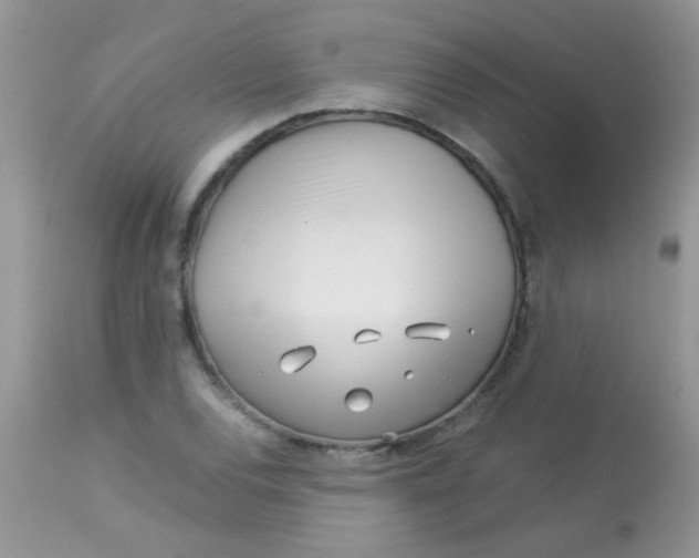 X0000113091120200909182107
