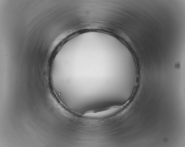 X0000113091122200909182107
