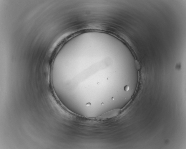 X0000113091123200909182107