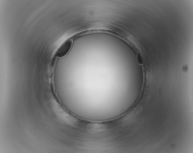 X0000113091124200909182107