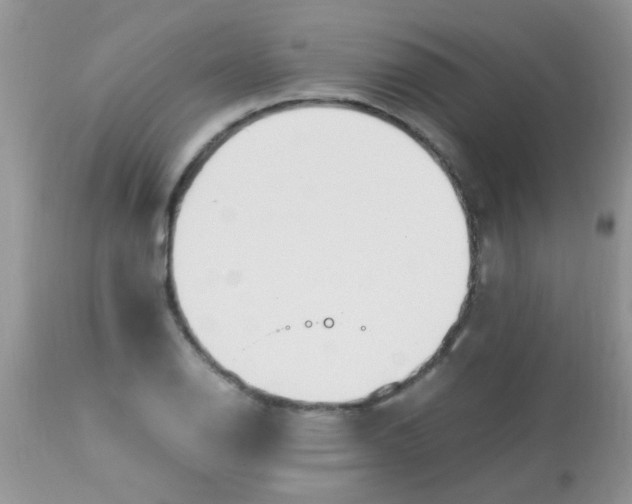 X0000113091126200909182107