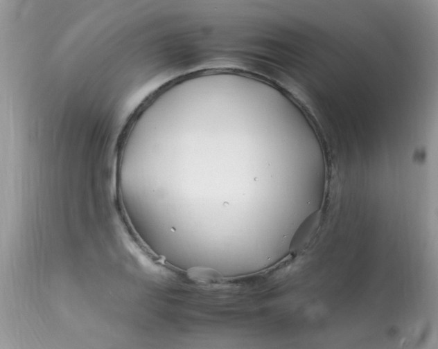 X0000113091127200909182107