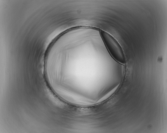 X0000113091128200909182107