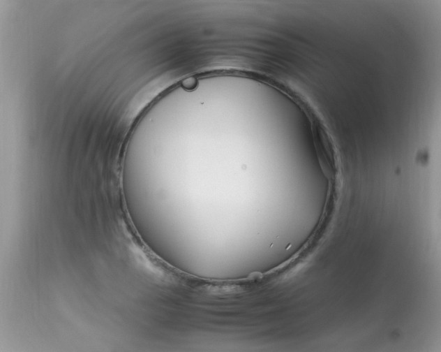 X0000113091129200909182107