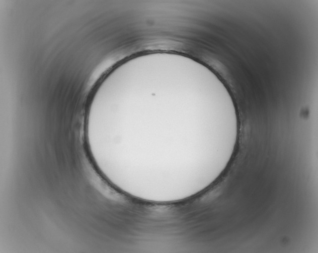 X0000113091130200909182107