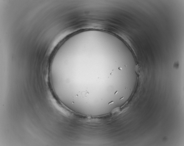 X0000113091131200909182107