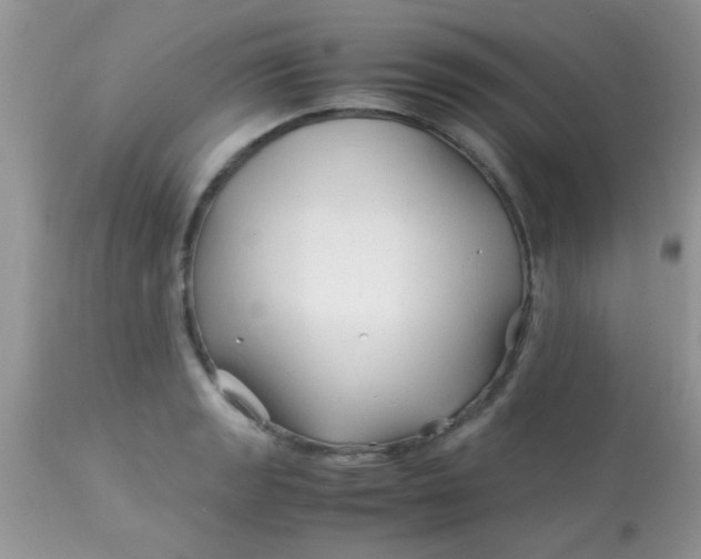 X0000113091133200909182107