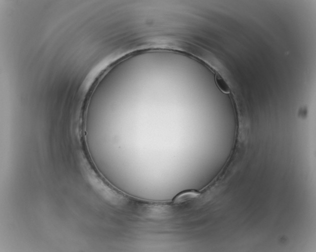 X0000113091136200909182107