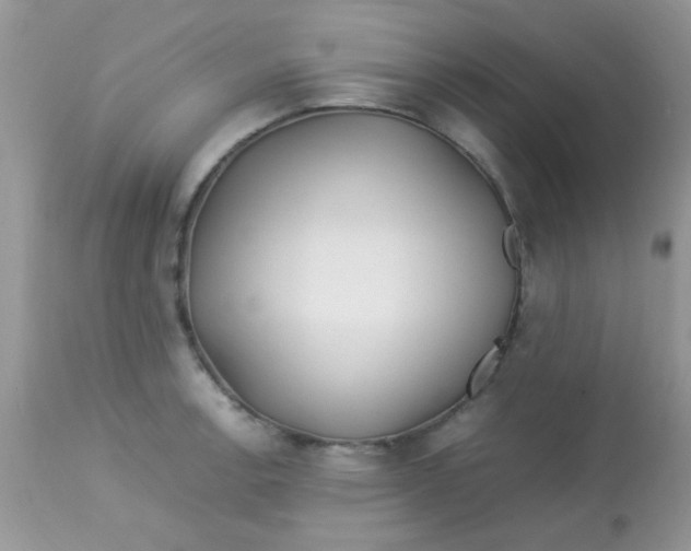 X0000113091138200909182107