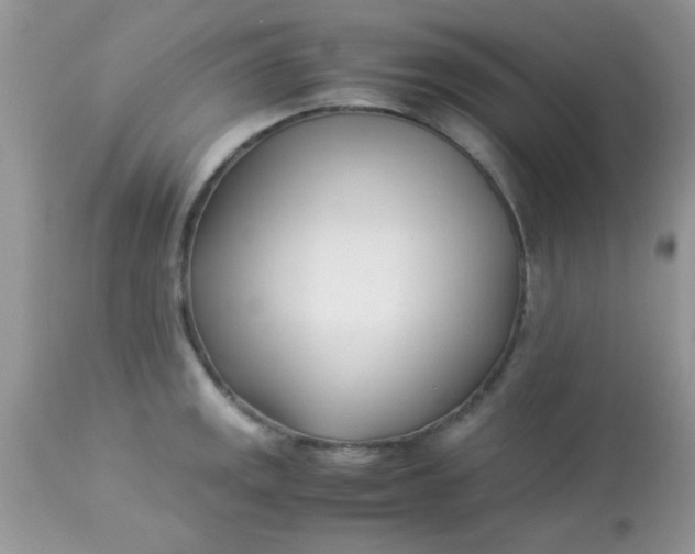 X0000113091141200909182107