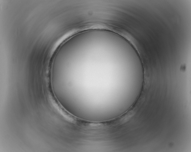 X0000113091142200909182107