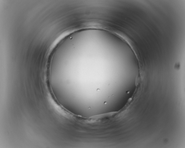 X0000113091147200909182107