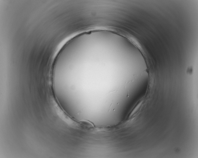 X0000113091148200909182107