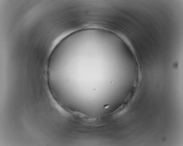 X0000113091149200909182107