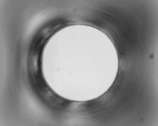 X0000113091150200909182107
