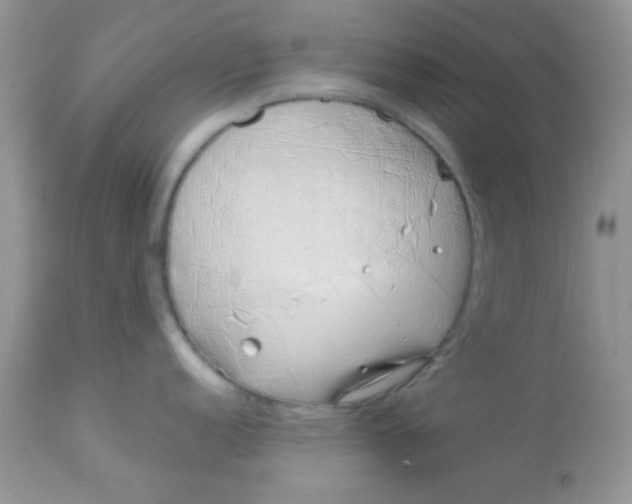 X0000113091152200909182107