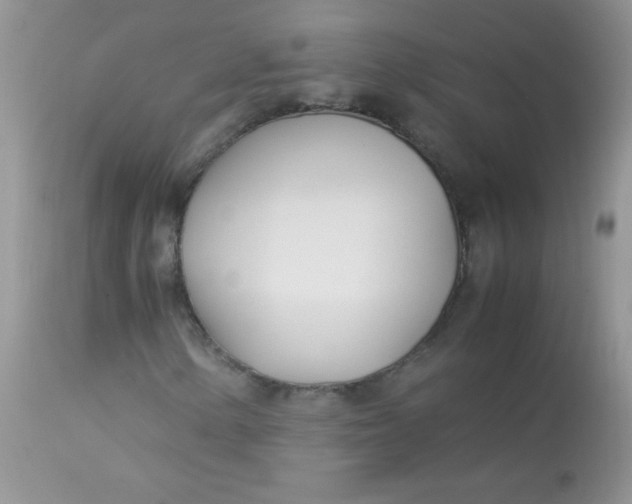 X0000113091154200909182106