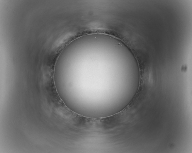 X0000113091157200909182106
